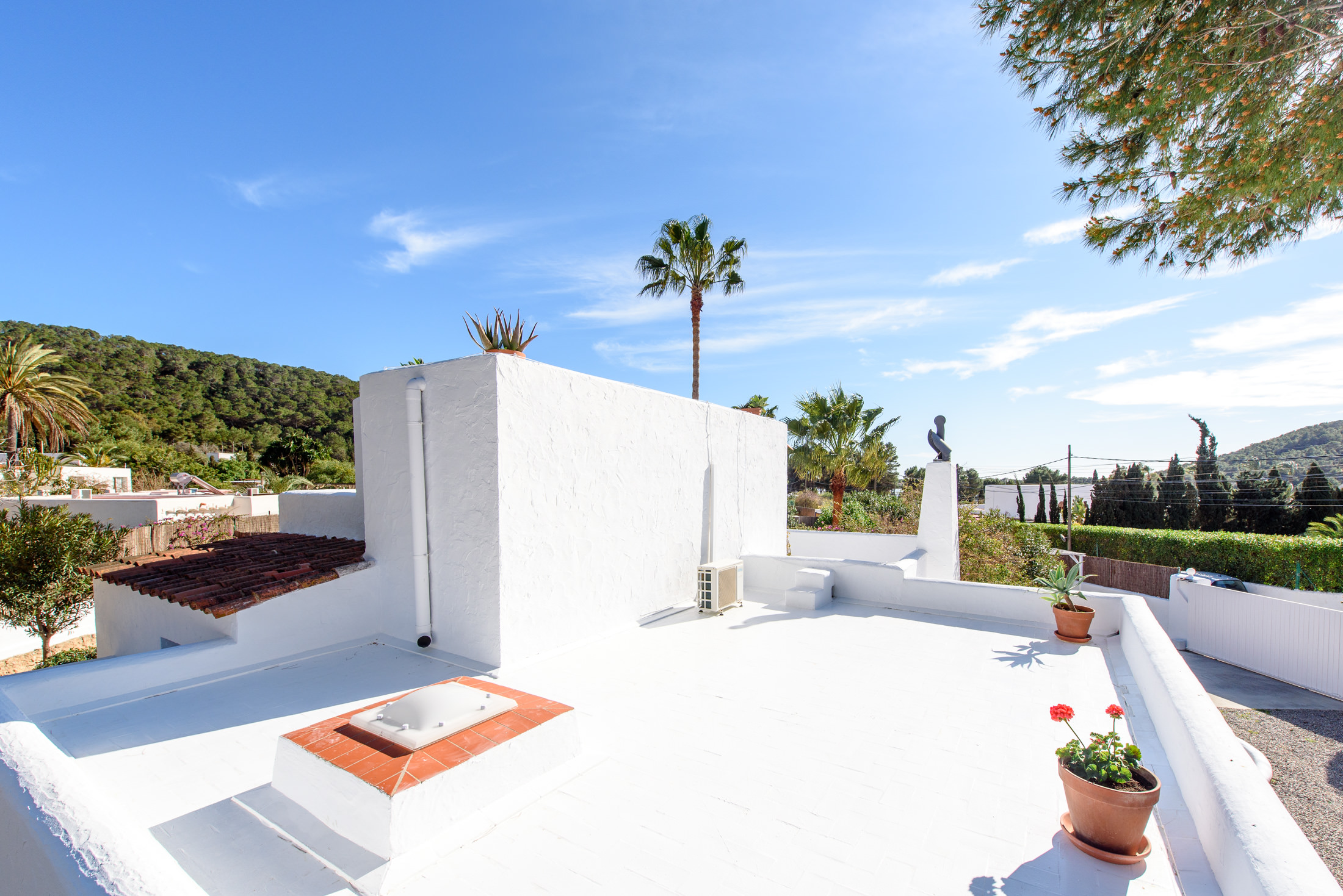 resa estates ibiza for sale house  ses salines 2022 finca roofterrace 2.jpg